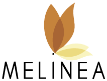 https://melinea-innovation.fr/wp-content/uploads/2022/05/logo-menu-melinea.png